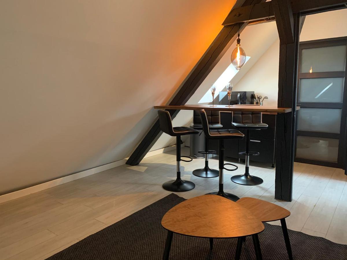 Appartamento Cocoon Loft Colmar Esterno foto