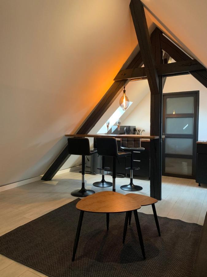 Appartamento Cocoon Loft Colmar Esterno foto