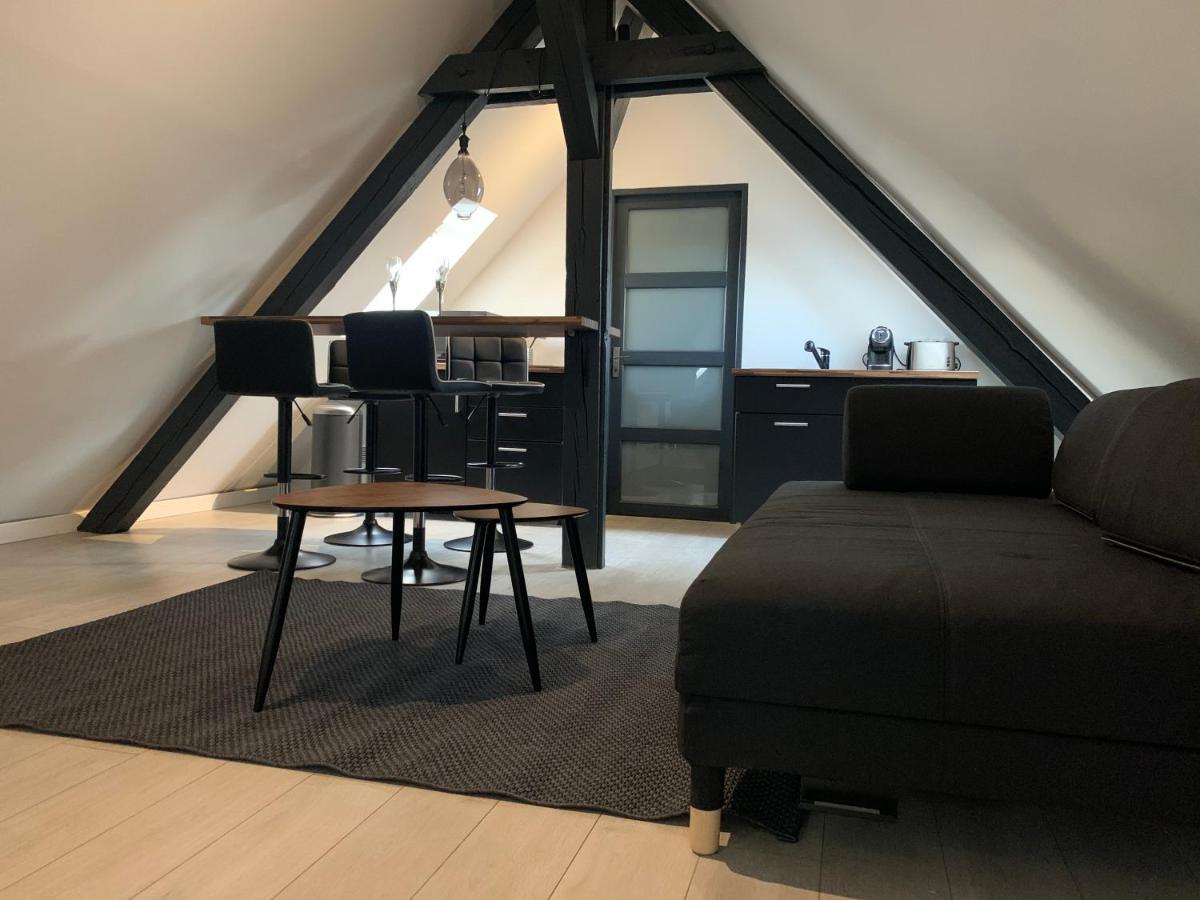 Appartamento Cocoon Loft Colmar Esterno foto
