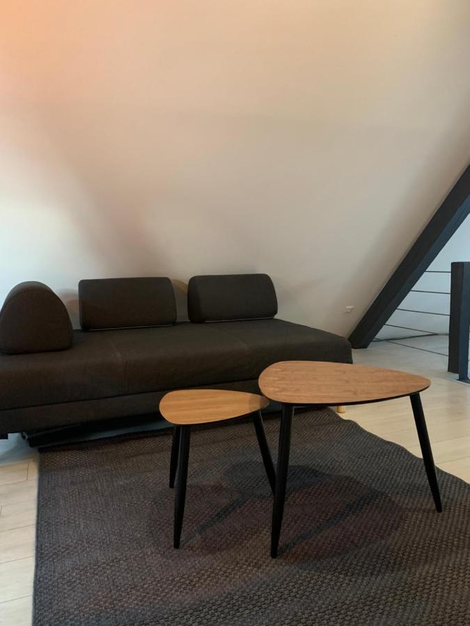Appartamento Cocoon Loft Colmar Esterno foto